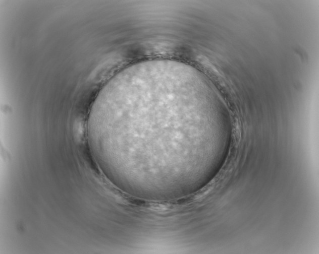 X0000090880709200708101345