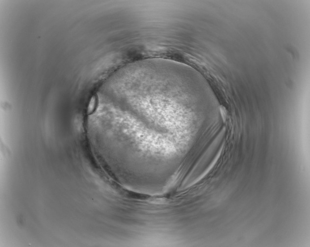 X0000090880711200708101344