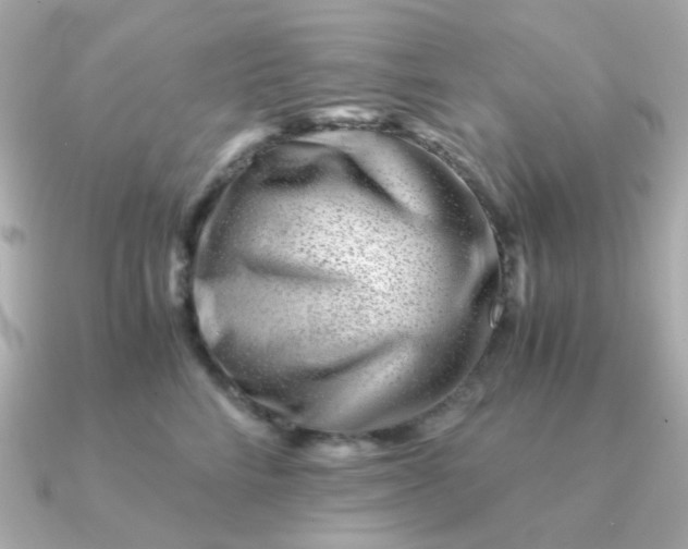 X0000090880712200708101344