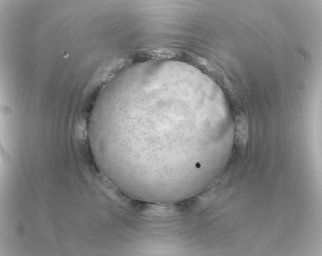 X0000090880713200708101344