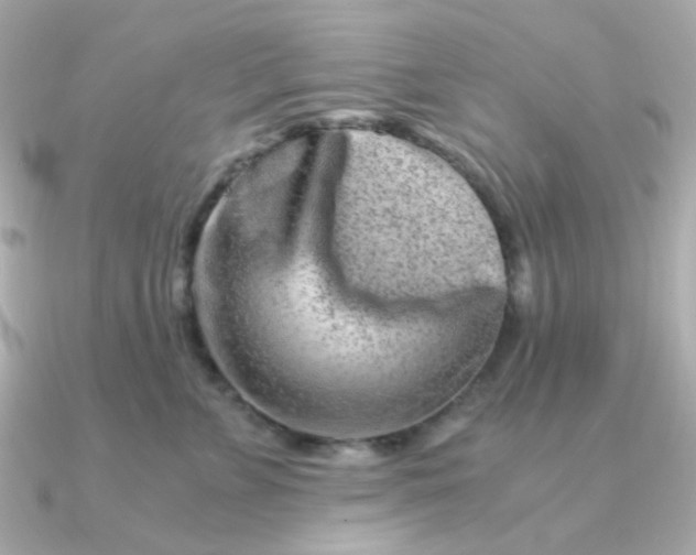 X0000090880715200708101344