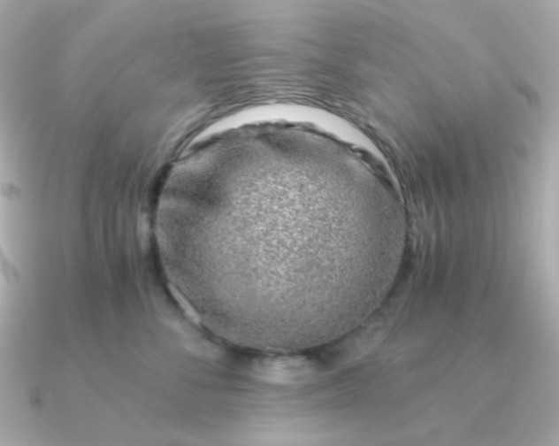 X0000090880716200708101344