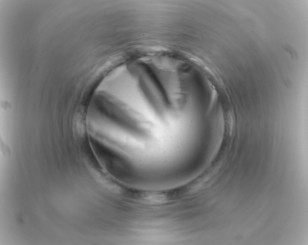 X0000090880719200708101344