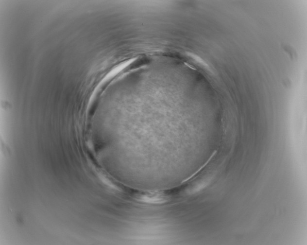 X0000090880720200708101344