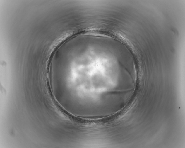 X0000090880721200708101344