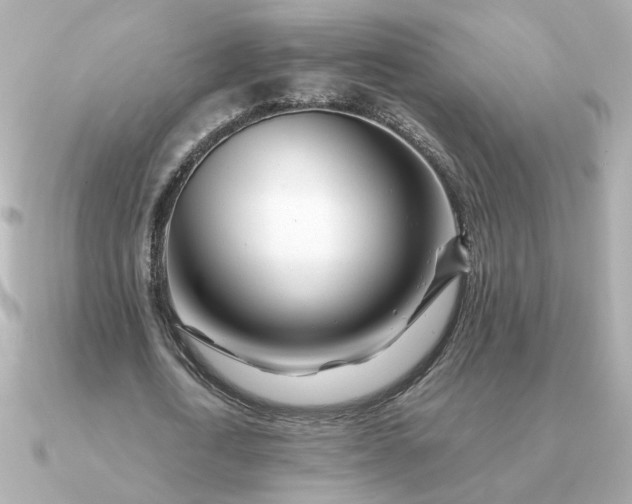 X0000090880722200708101344