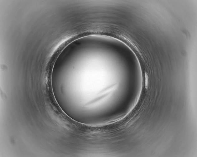 X0000090880723200708101344