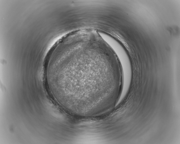 X0000090880724200708101344