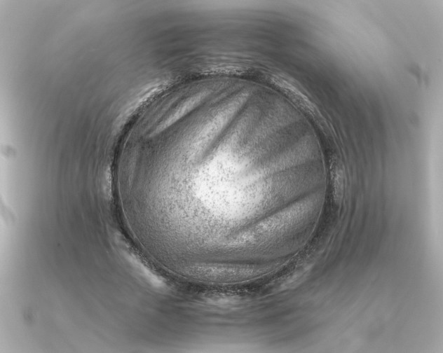 X0000090880729200708101344