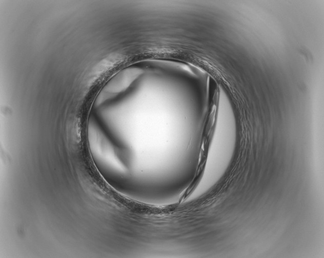 X0000090880731200708101344