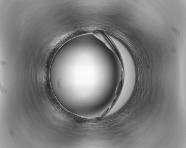 X0000090880732200708101344