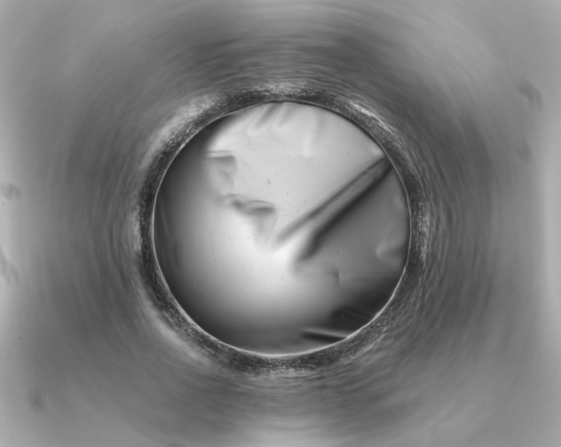 X0000090880734200708101344