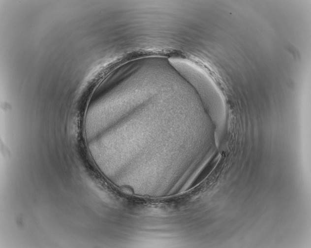 X0000090880736200708101344