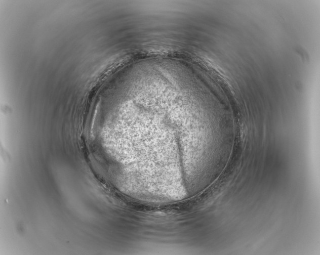 X0000090880737200708101344