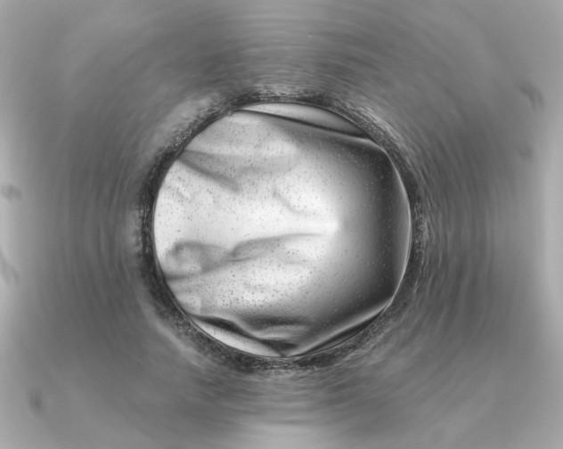 X0000090880738200708101344