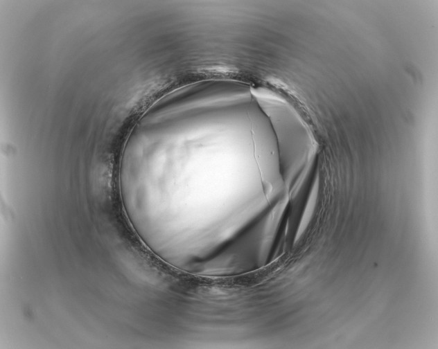 X0000090880739200708101344