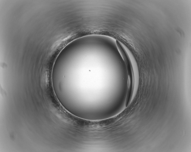 X0000090880740200708101344