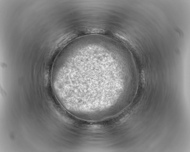 X0000090880741200708101344