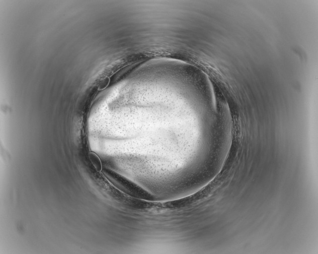 X0000090880742200708101344