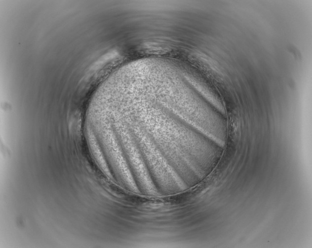 X0000090880745200708101344