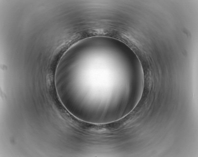 X0000090880747200708101344