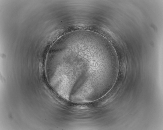 X0000090880749200708101344