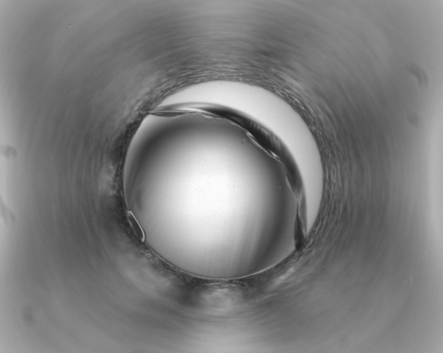 X0000090880750200708101344