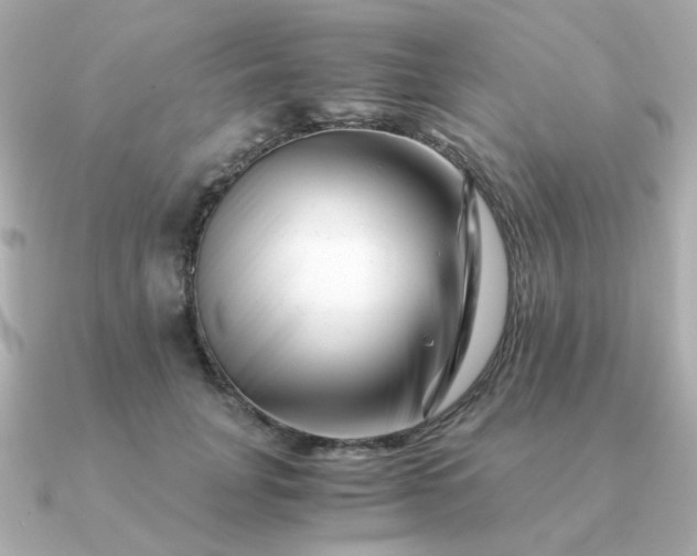 X0000090880751200708101344