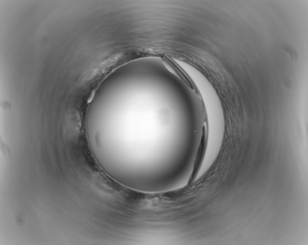 X0000090880752200708101344