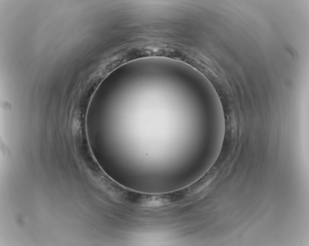 X0000090880754200708101344