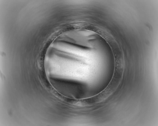 X0000090880755200708101344