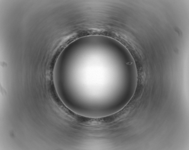 X0000090880756200708101344