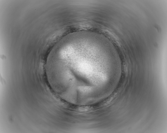 X0000090880757200708101344