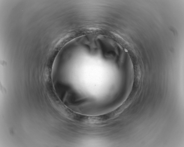 X0000090880758200708101344