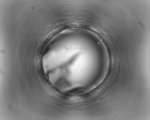 X0000090880759200708101344