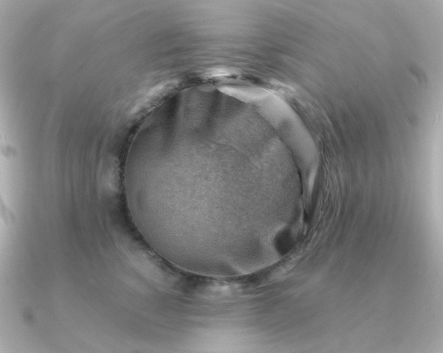 X0000090880760200708101344