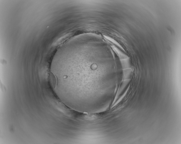 X0000090880762200708101344