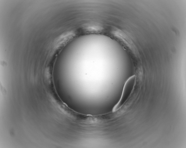 X0000090880764200708101344