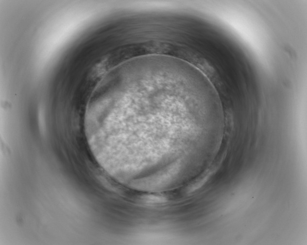 X0000090880765200708101344