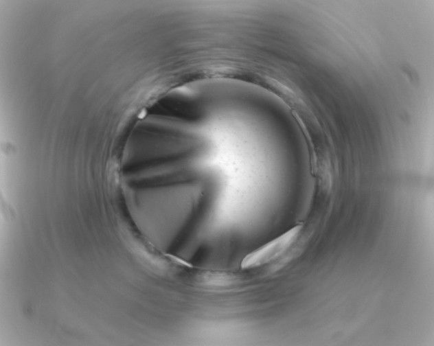 X0000090880766200708101344