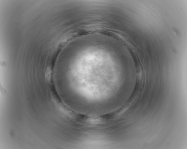 X0000090880767200708101344