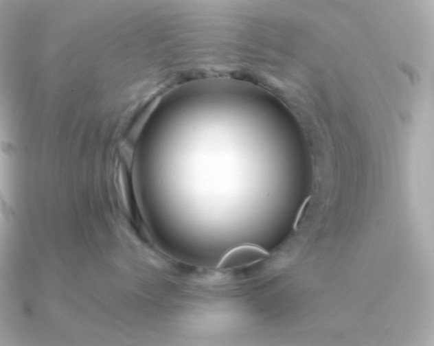 X0000090880768200708101344