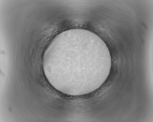 X0000090880769200708101344