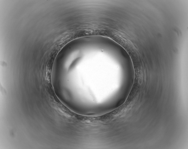 X0000090880770200708101344