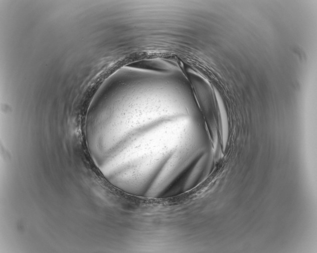 X0000090880771200708101344