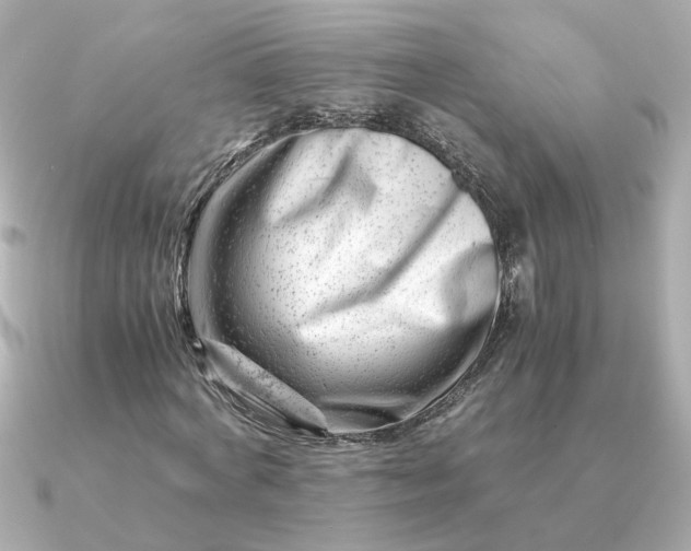 X0000090880772200708101344