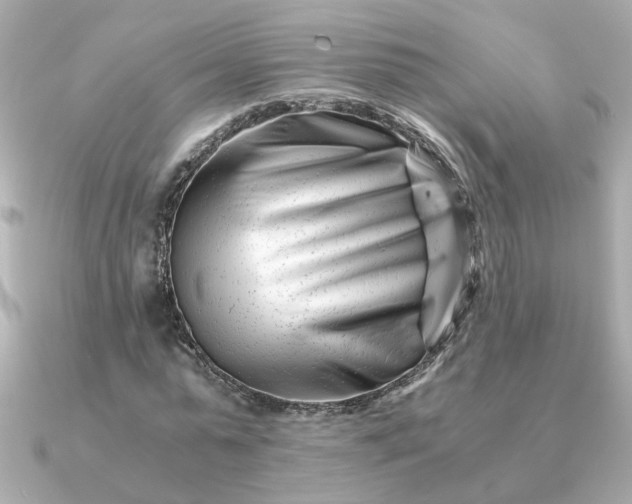 X0000090880775200708101344