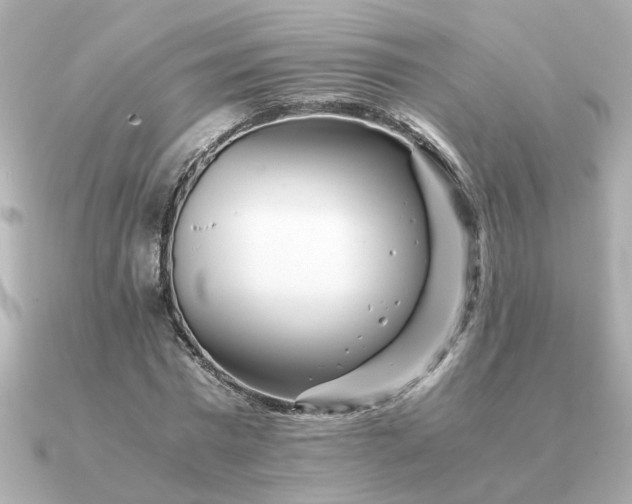 X0000090880777200708101344