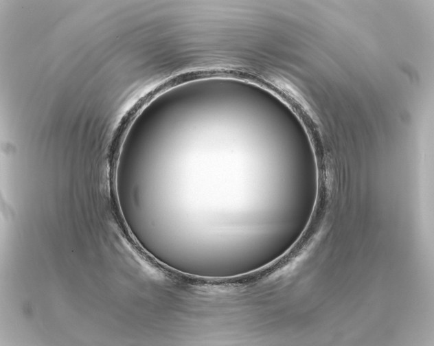 X0000090880781200708101344