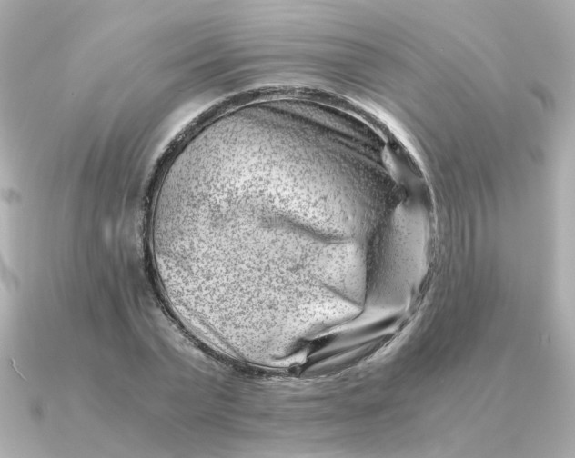 X0000090880783200708101344